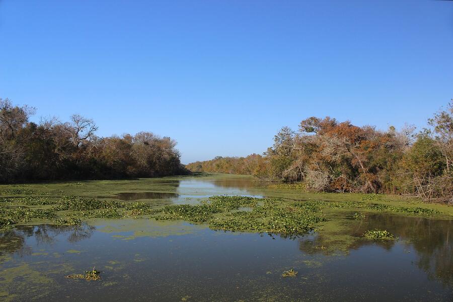 A Houston bayou with tree-lined banks and slow brown water
