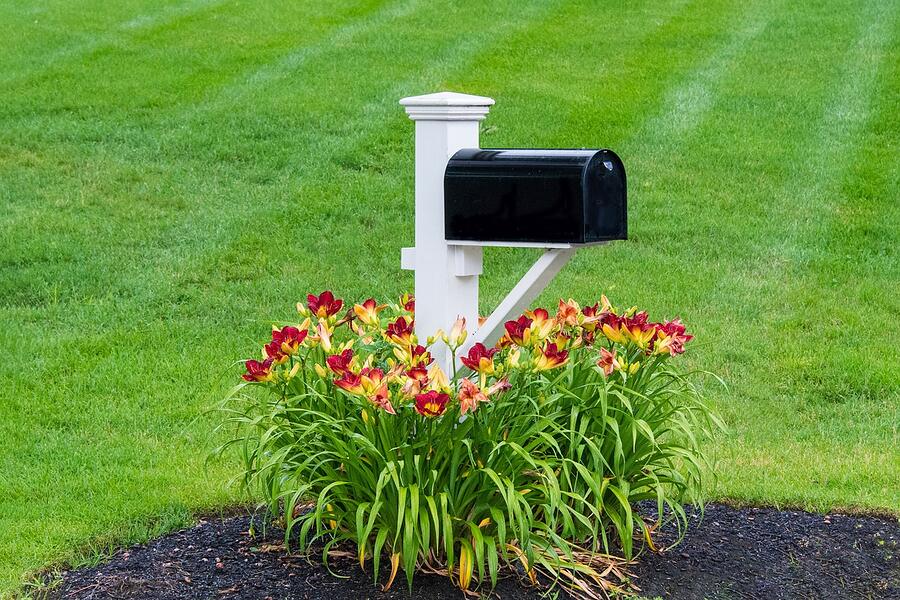 A curbside mailbox on a quiet subdivision street
