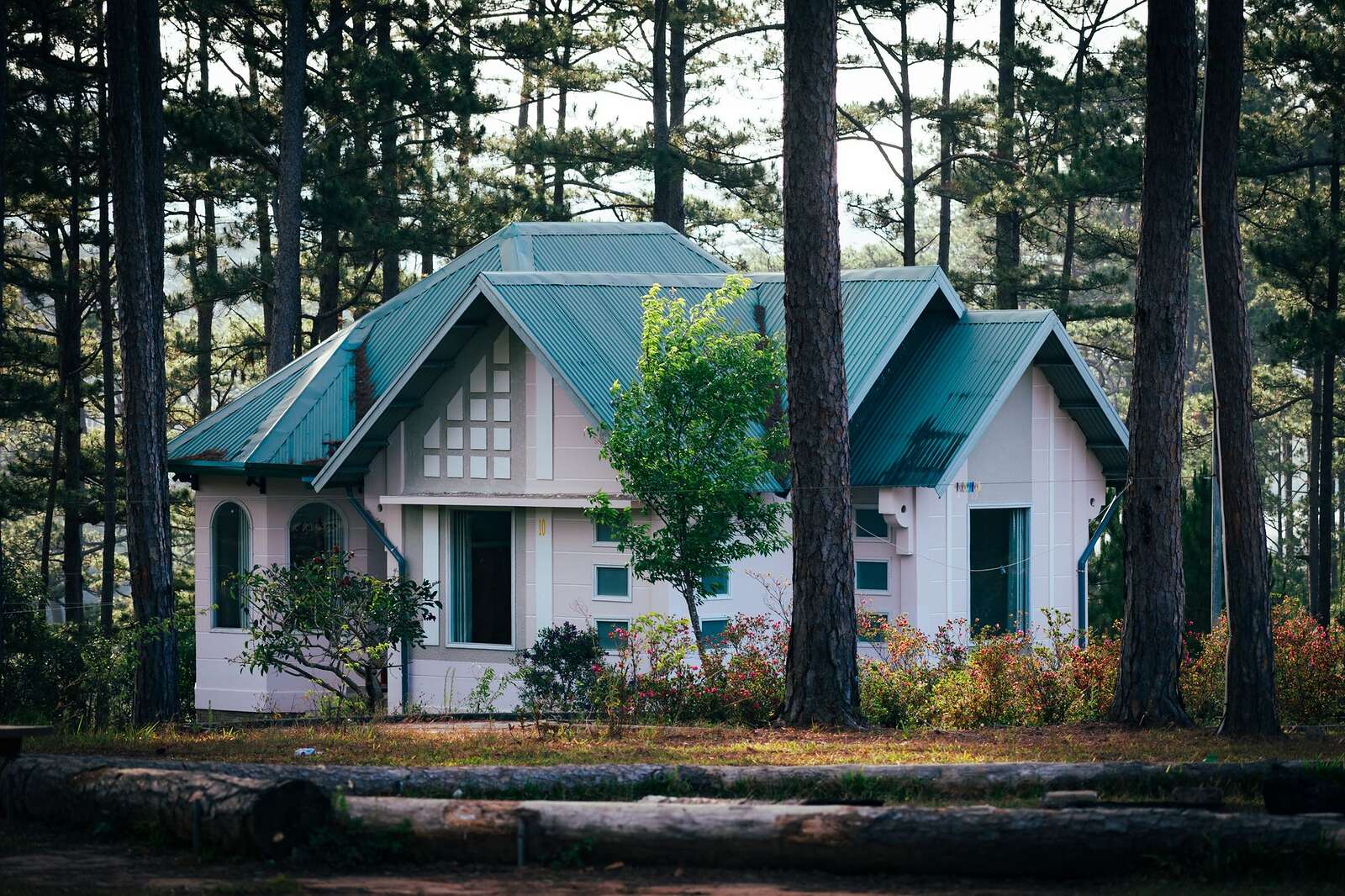 A house set among tall pines on a wooded lot