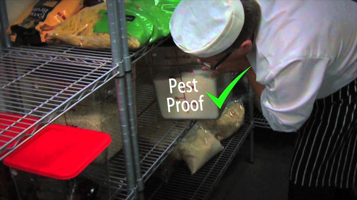 Video preview: Food safety coaching: pest control
